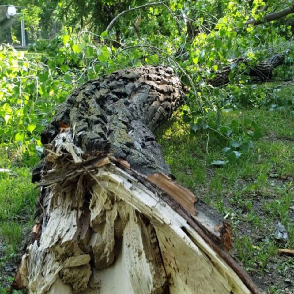 Photo 2024 05 13 22 55 57 1024x576