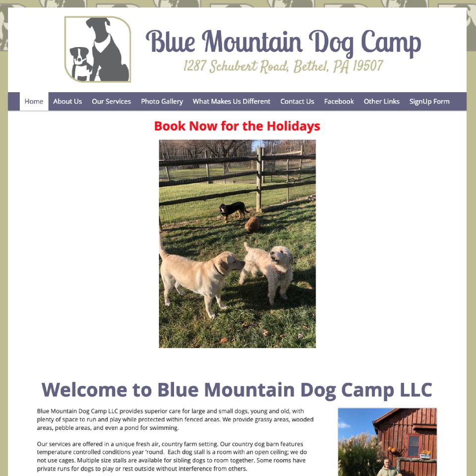 003 blue mt. dog camp sm