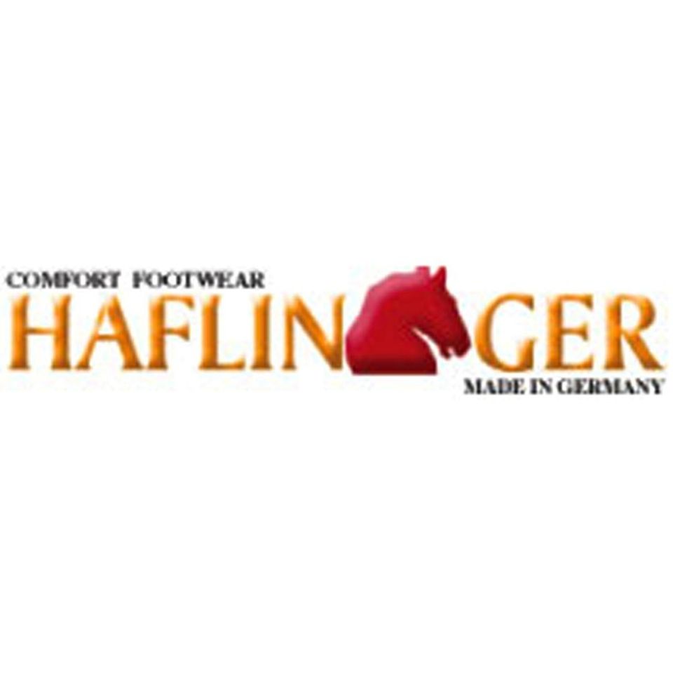 Haflinger20150707 23392 cao0ks