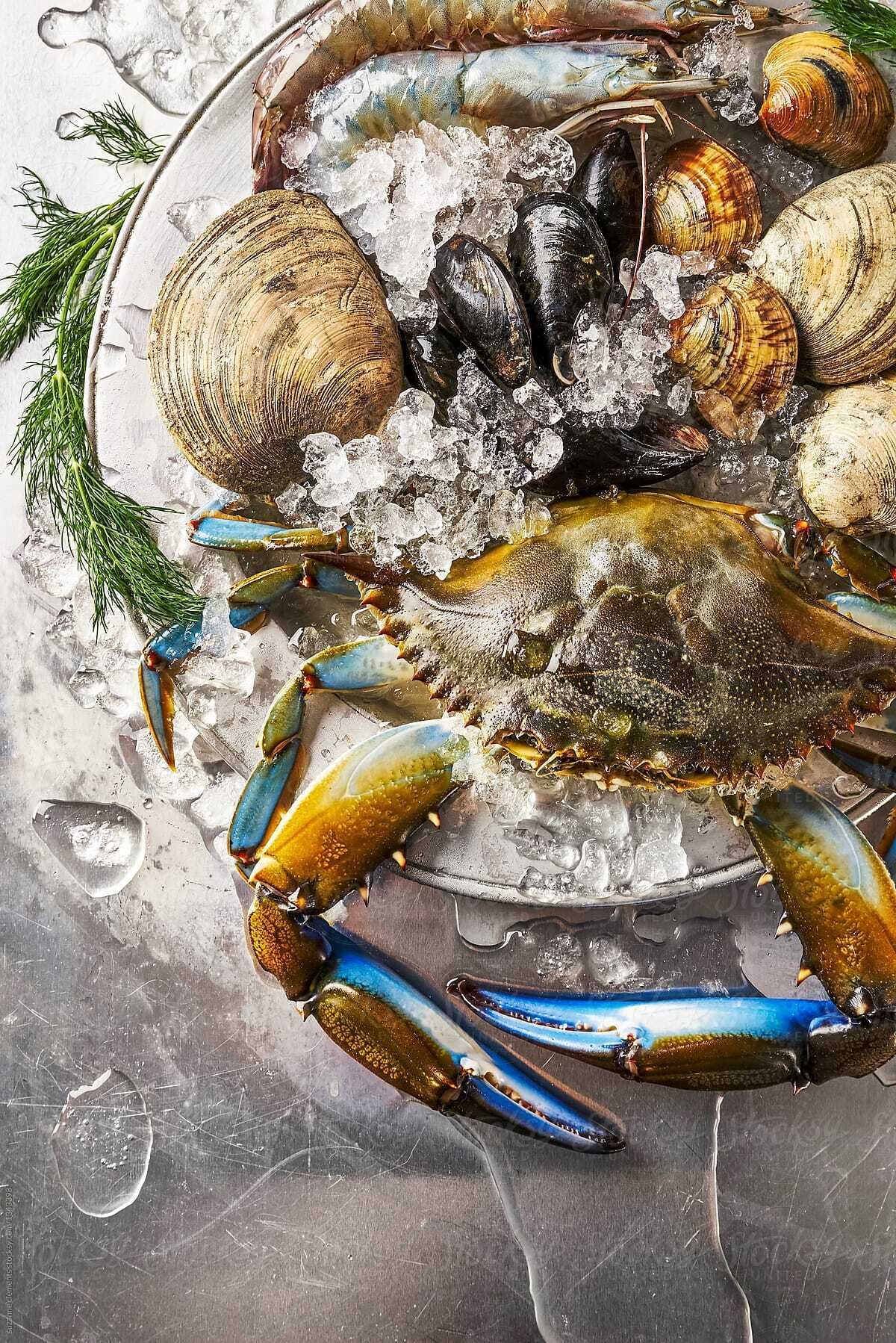 Carolina Fresh Fish and Seafood Market