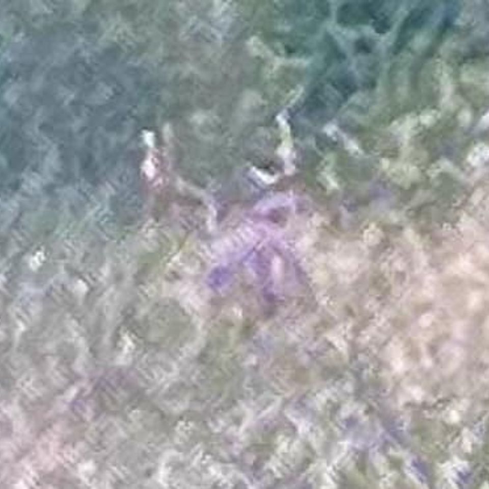 436240373 7639119832801609 1807059573739921050 n