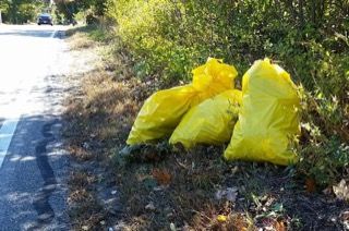Yellow bags 1476626894 6156.jpg