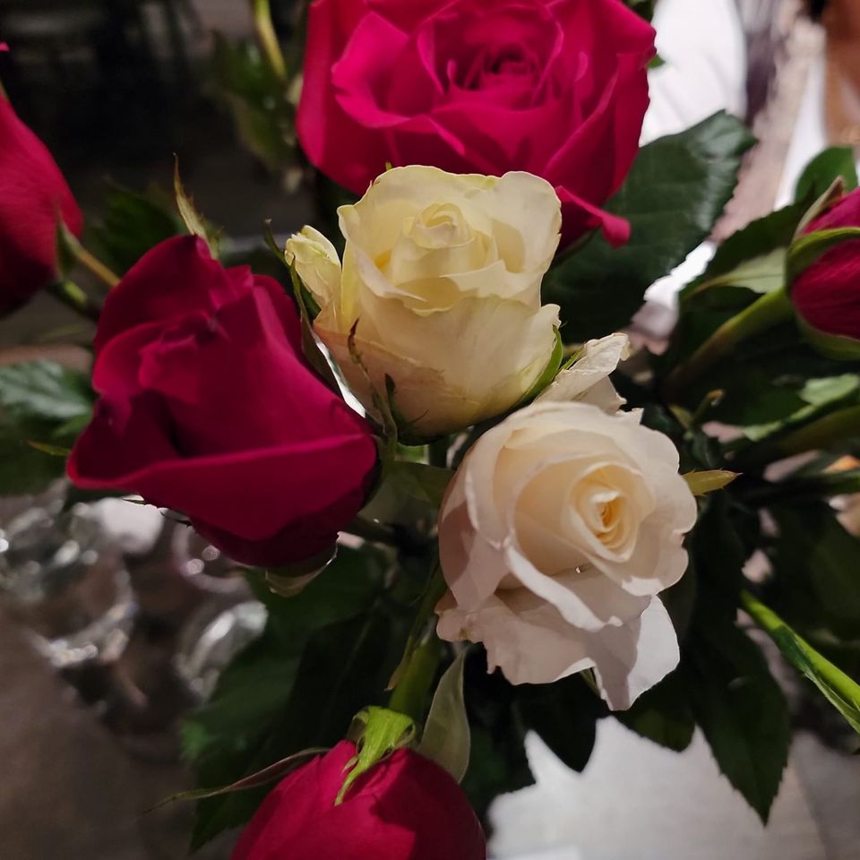 Rotary v day dinner 2