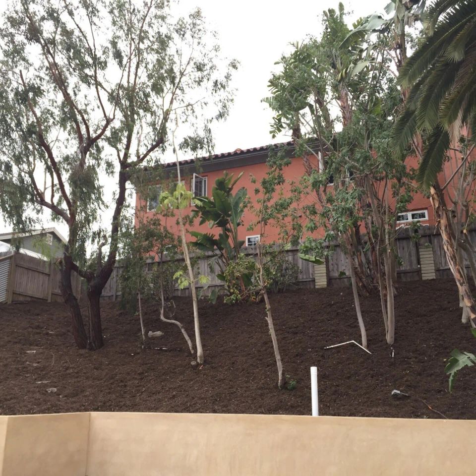 Brush clearing 1920w