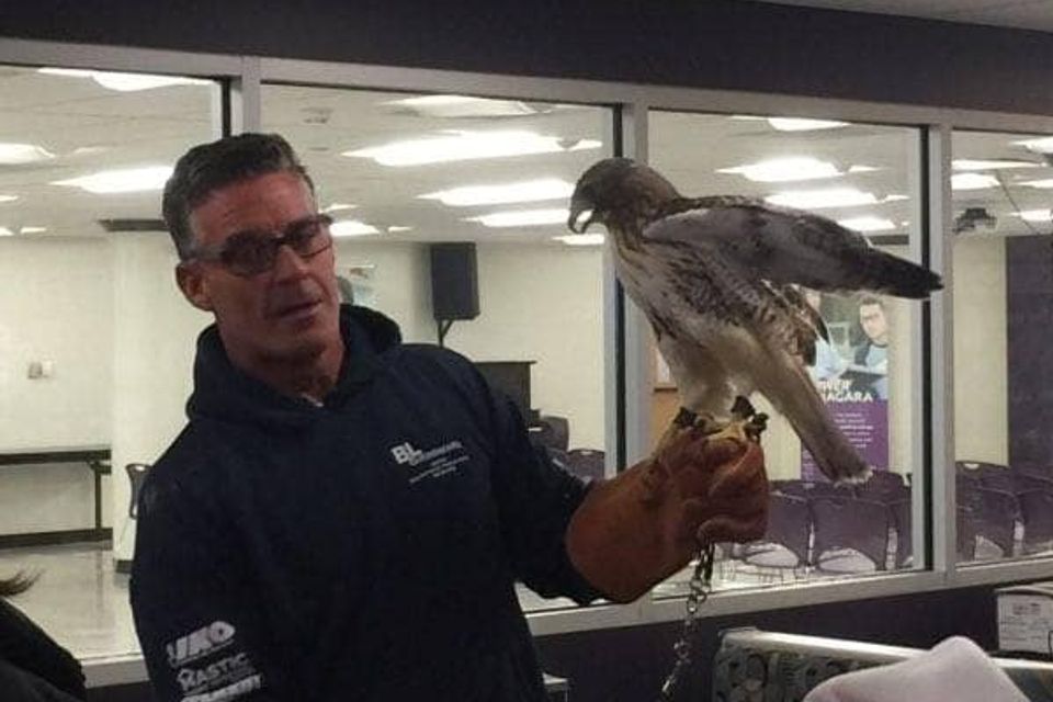 Bill Wild Kritters of Niagara County Volunteer