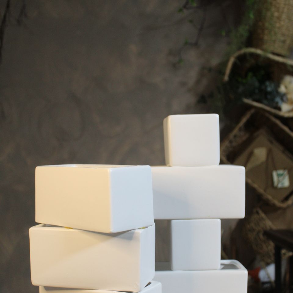 Img 3577