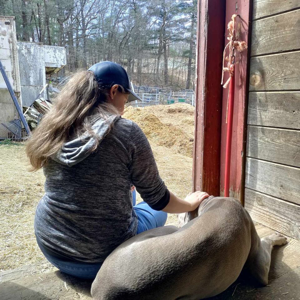 Received 411510861515956