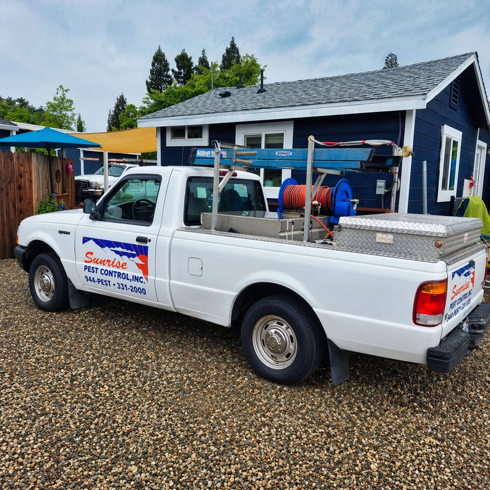 contact sunrise pest inspections