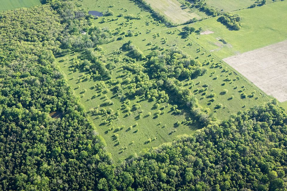 For sale wentworth missouri 72 61 acres 3