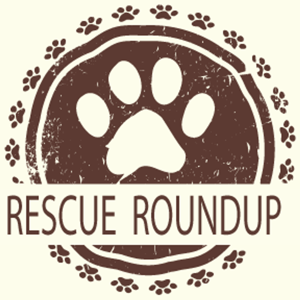 Rescue roundup logo20170622 6681 pui5yf