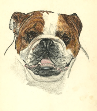 Bettys first drawing