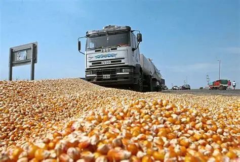 Soybeen gmo 2