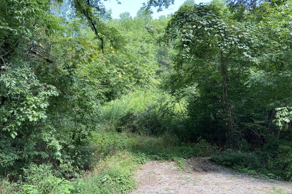 Petersburg property march