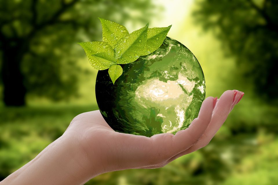 Green globe ball in hand