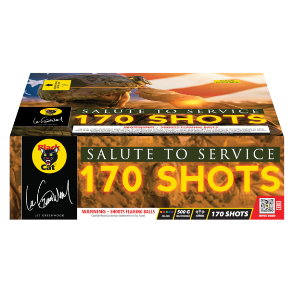 Salute to service