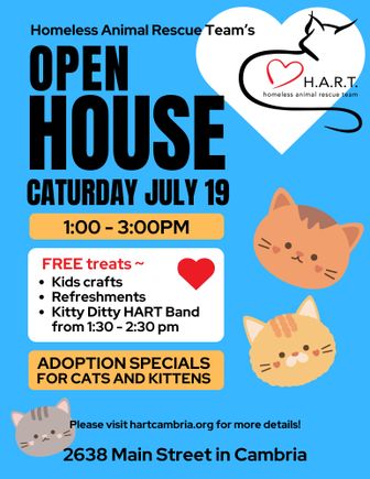 Open house flyer