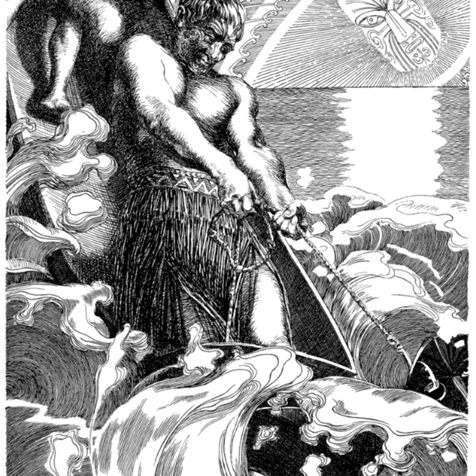 Maui fishing new zealand