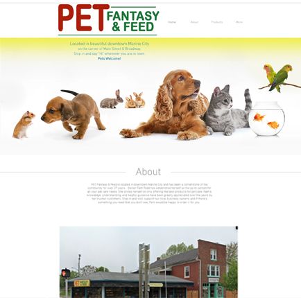 Pet fantasy   feed