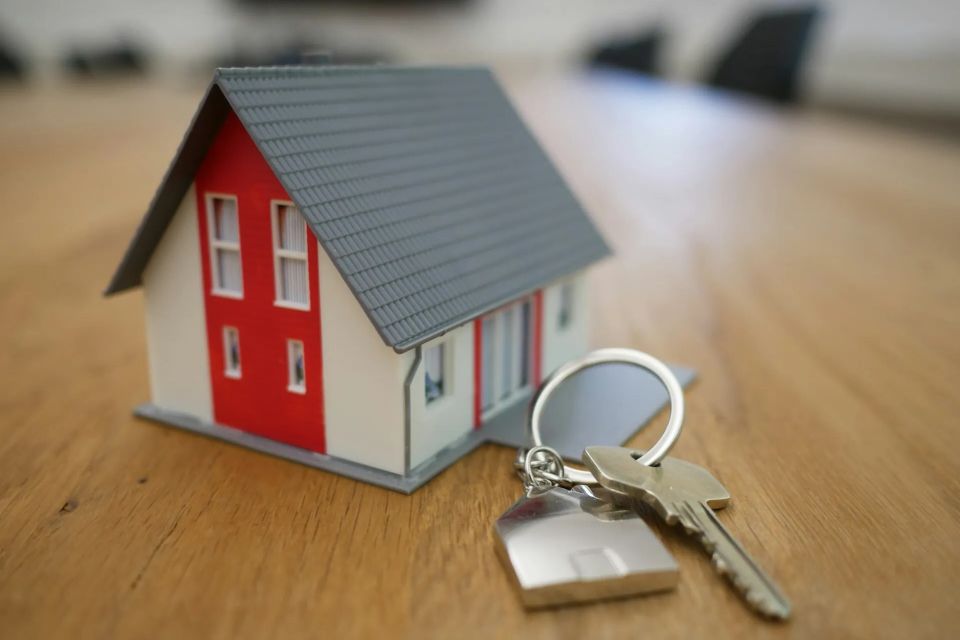 Real Estate Agent