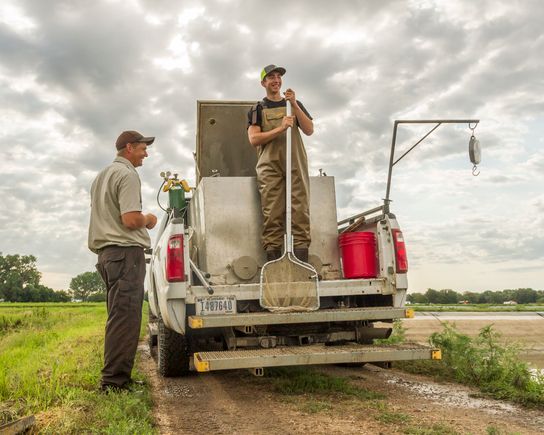 Paddlefish harvest aug 8 2019 10
