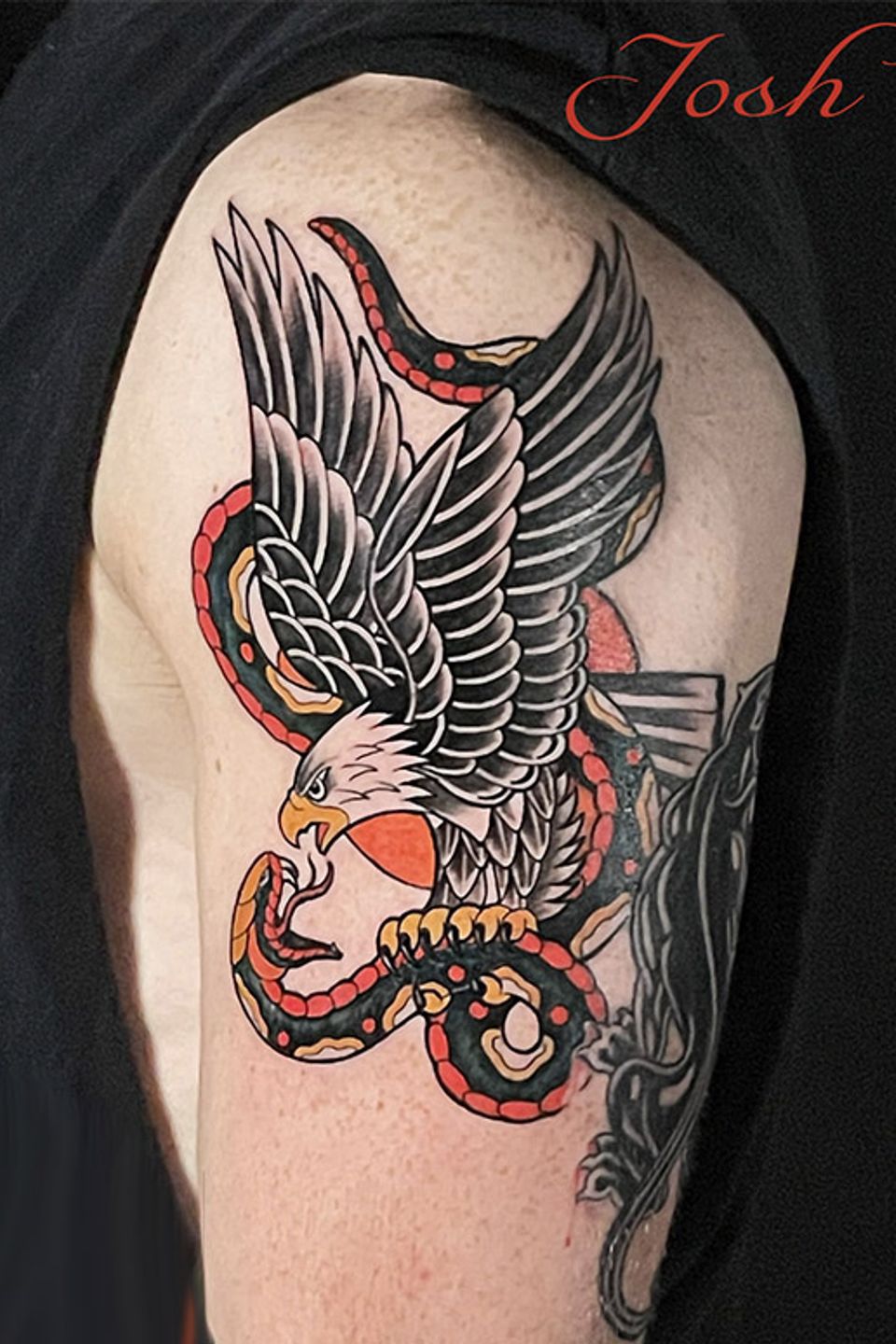 Josh traditional eagle copy