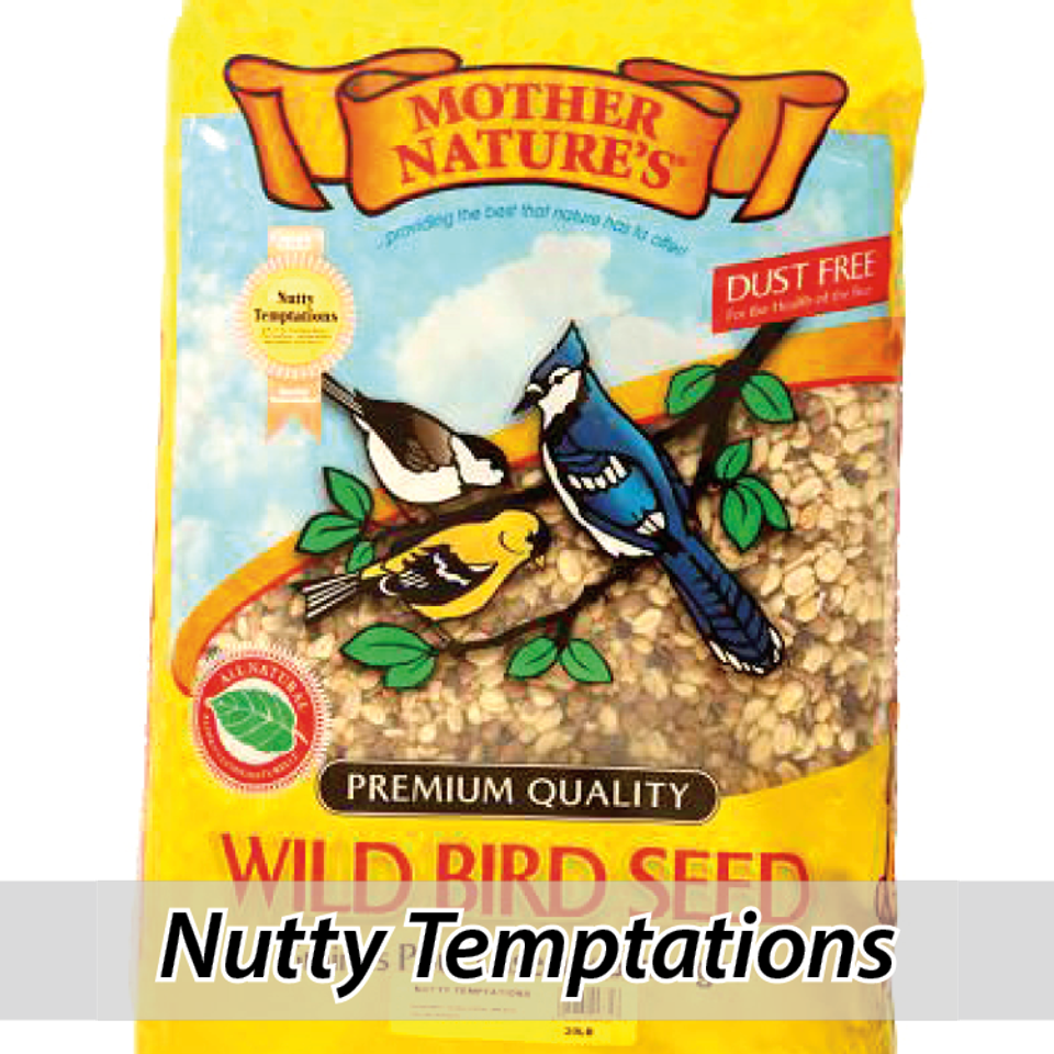 Mother nature's wild bird seeds1220150926 15680 1th7e36