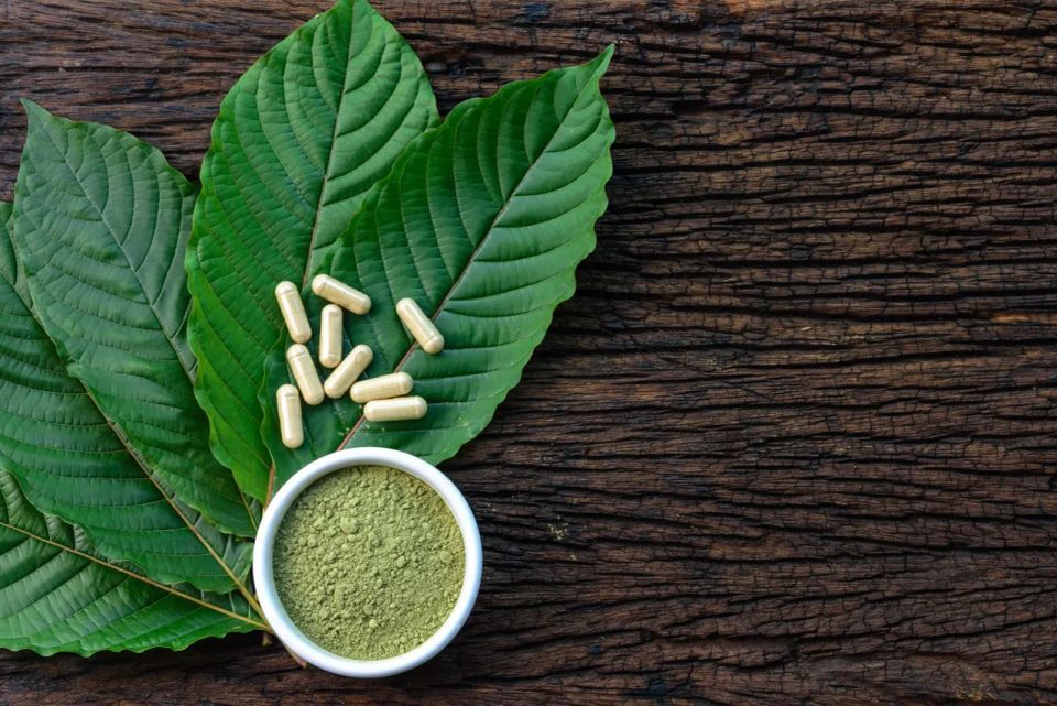 Kratom leaves