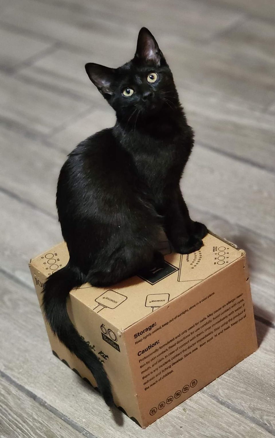 Getattachmentthumbnail (4)