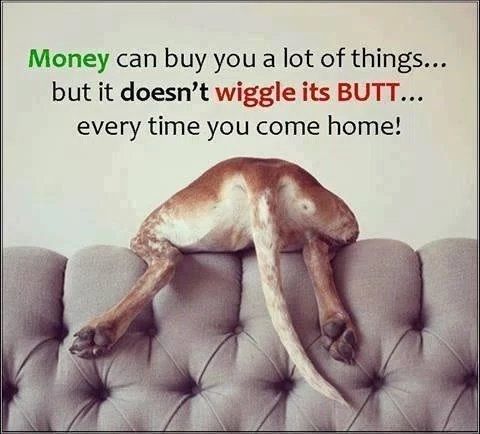 Wiggle your tail