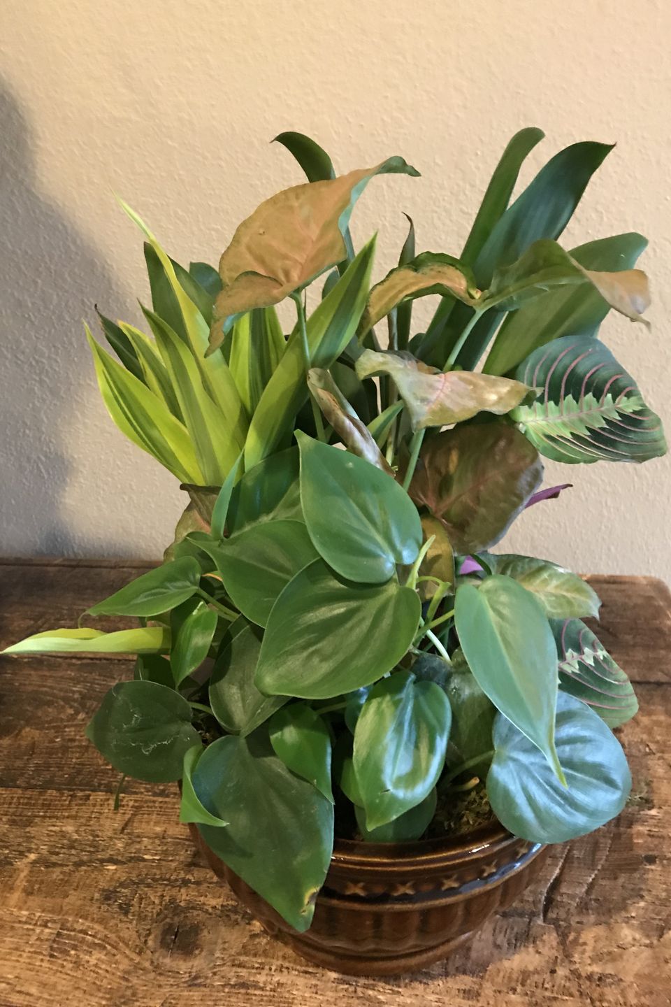 Img 231220180226 5373 1n4wbbe