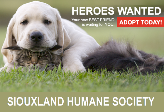 Siouxland humane society