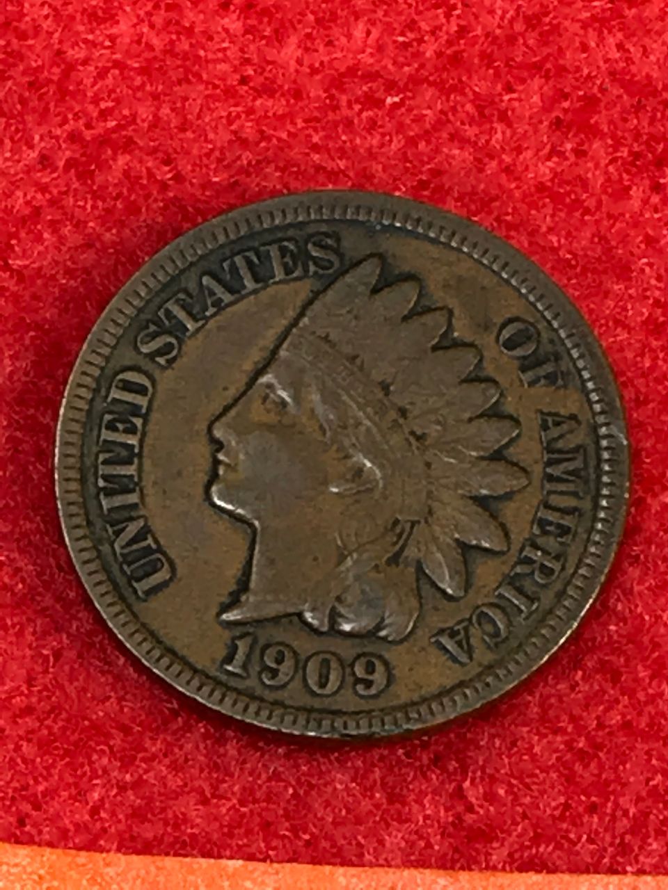 Img 1865