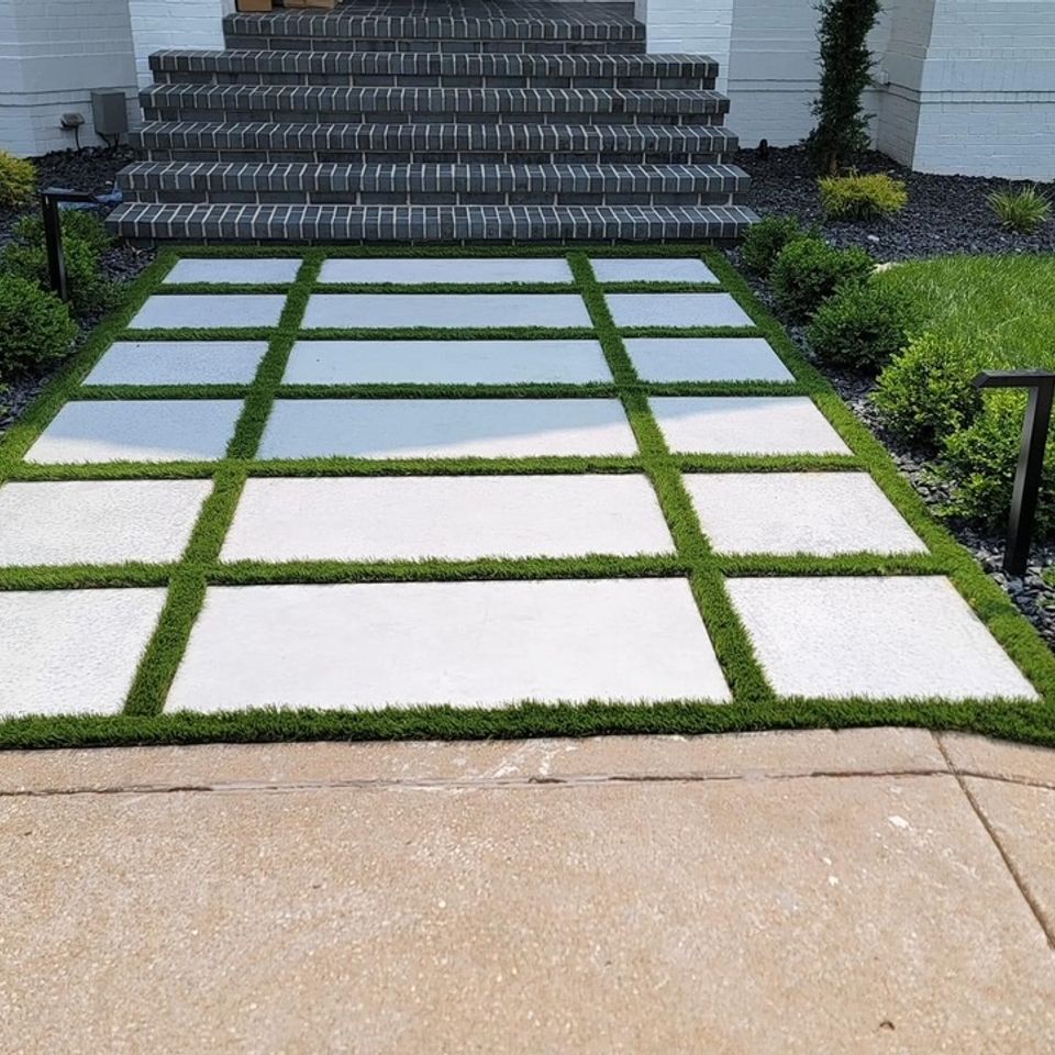 Img 1566