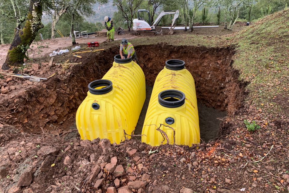 Img 3505