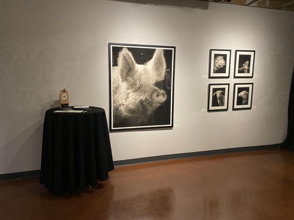 Horan exhibit photo 1