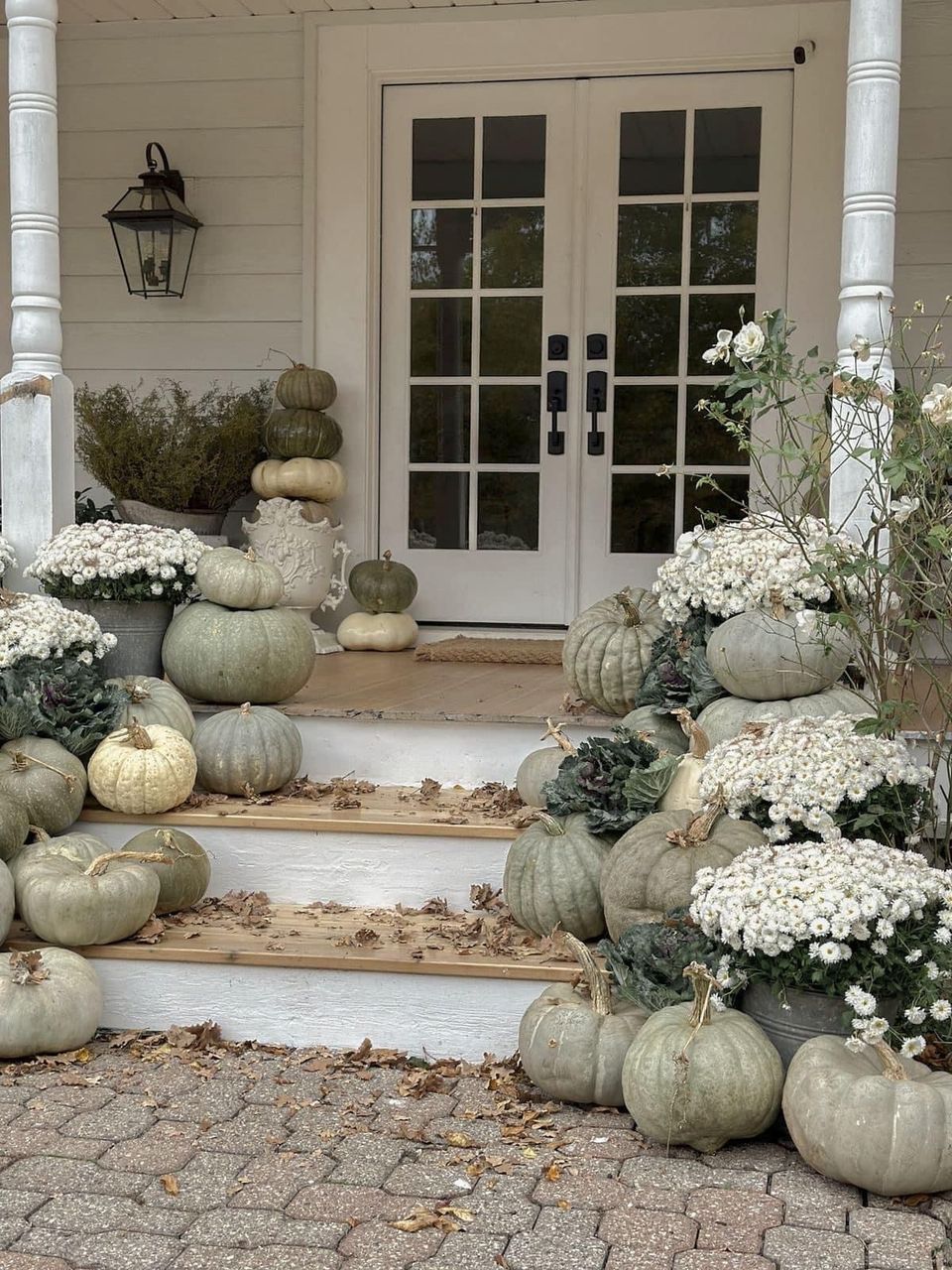 Neutral pumpkins