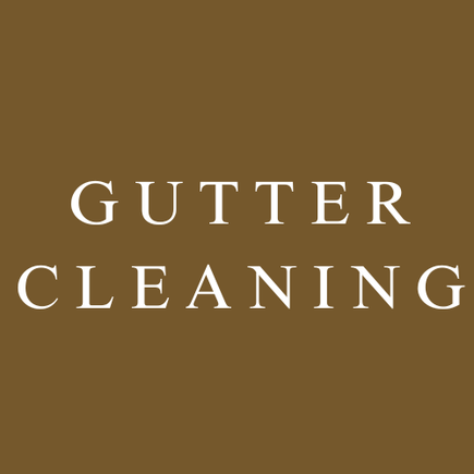 Gutter cleaning