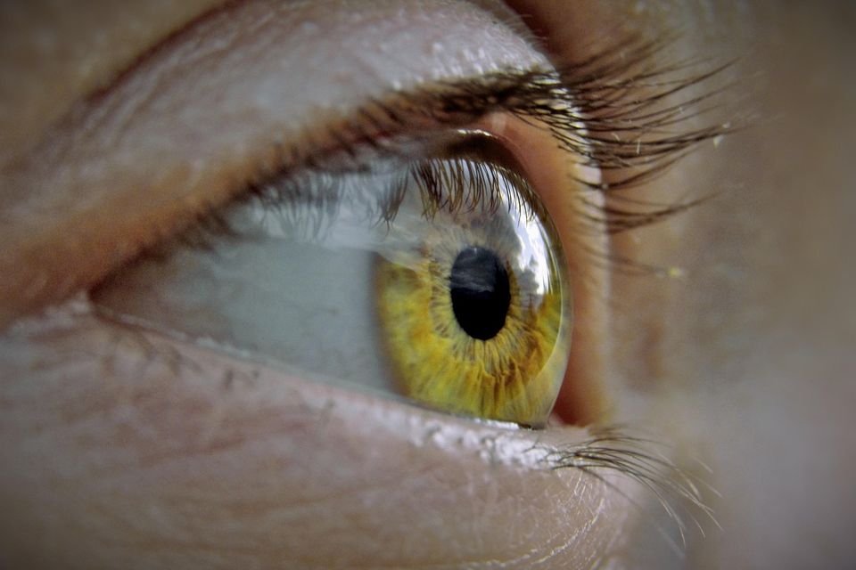 What is a Routine Eye Exam? Cullman Eyes