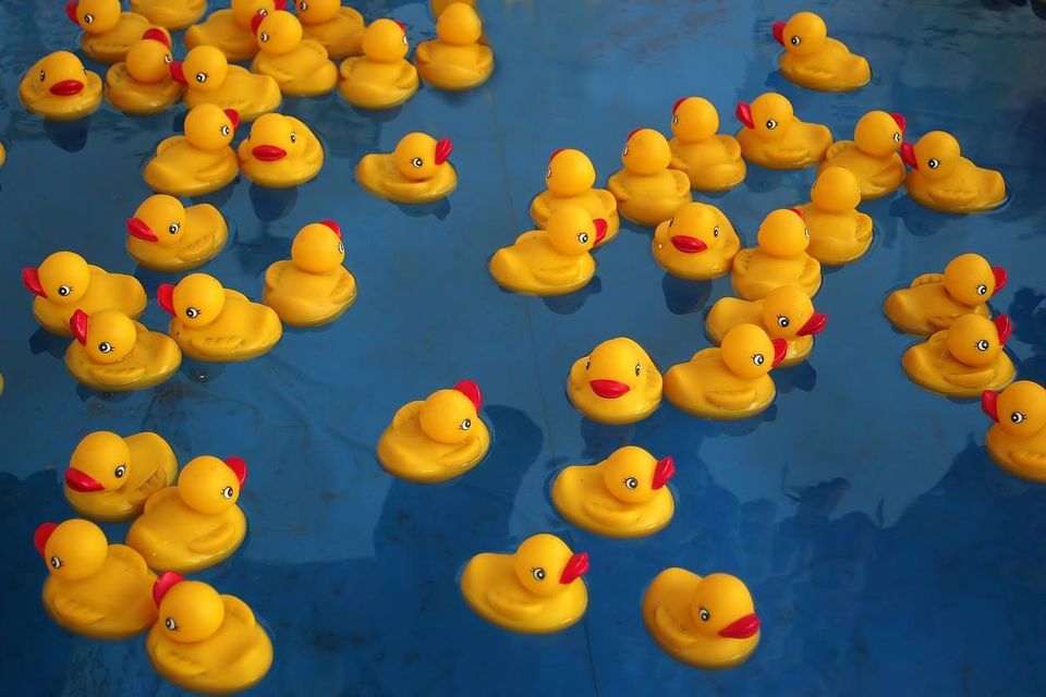 Harbor bar duck derby20180405 6099 1xa3djn