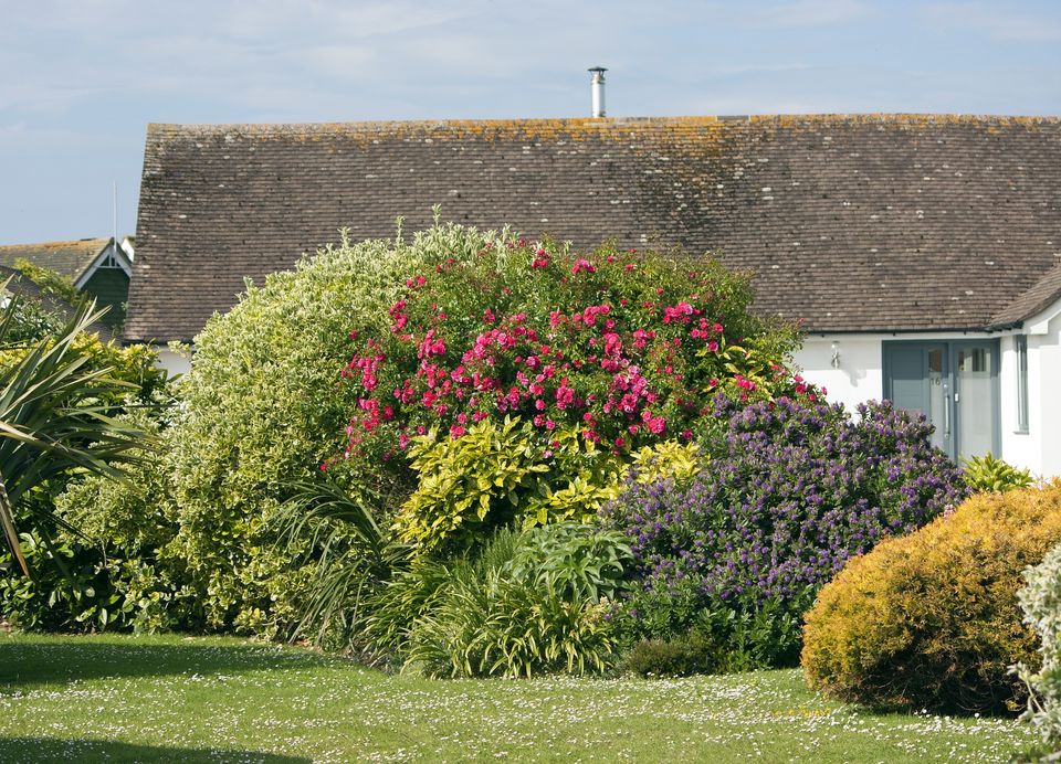 Garden g9dc62bf79 1920