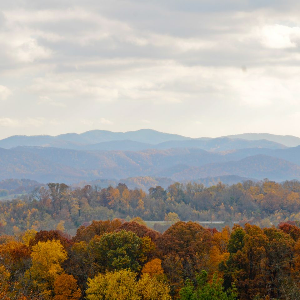 Blue ridge fall 1