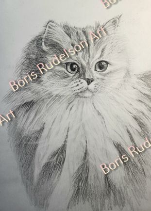 Pencil. Cat