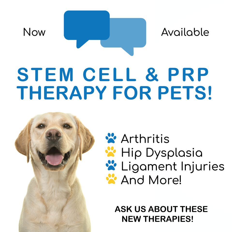 Sm ad now available sct and prp 11