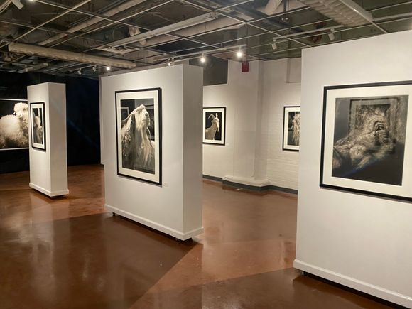 Horan exhibit photo 5