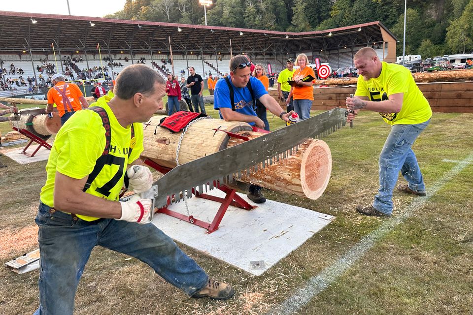Loggesr playday