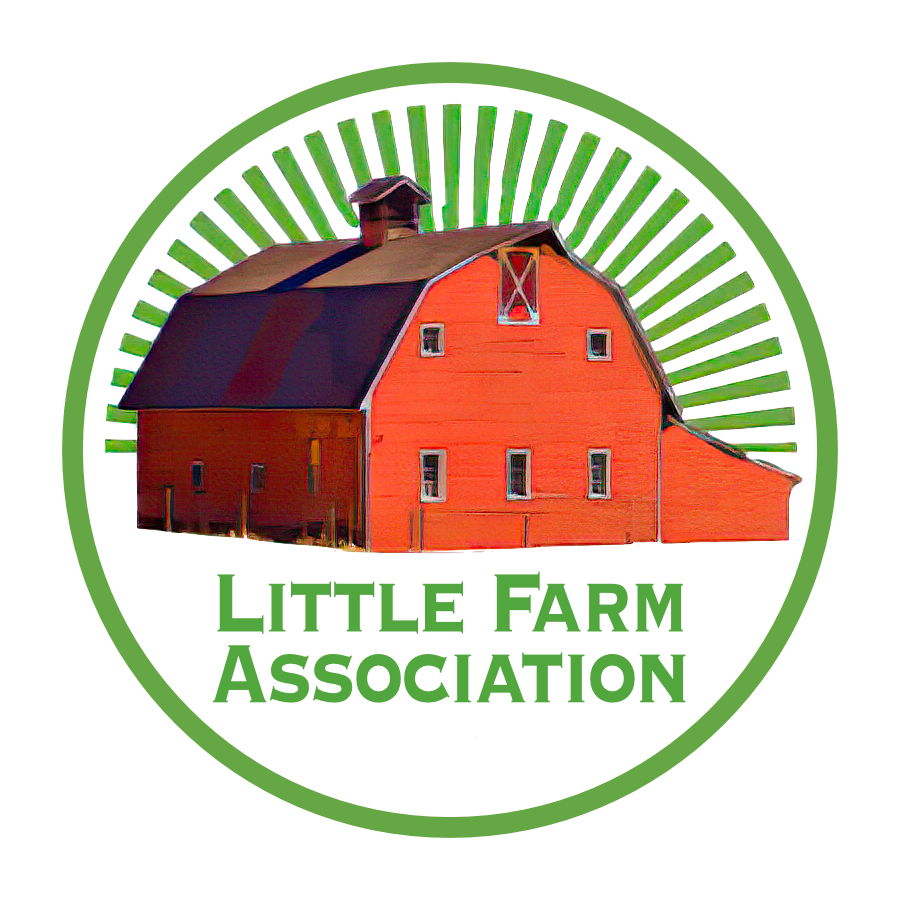 Lfa logo