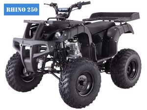 Rhino 250cc atv