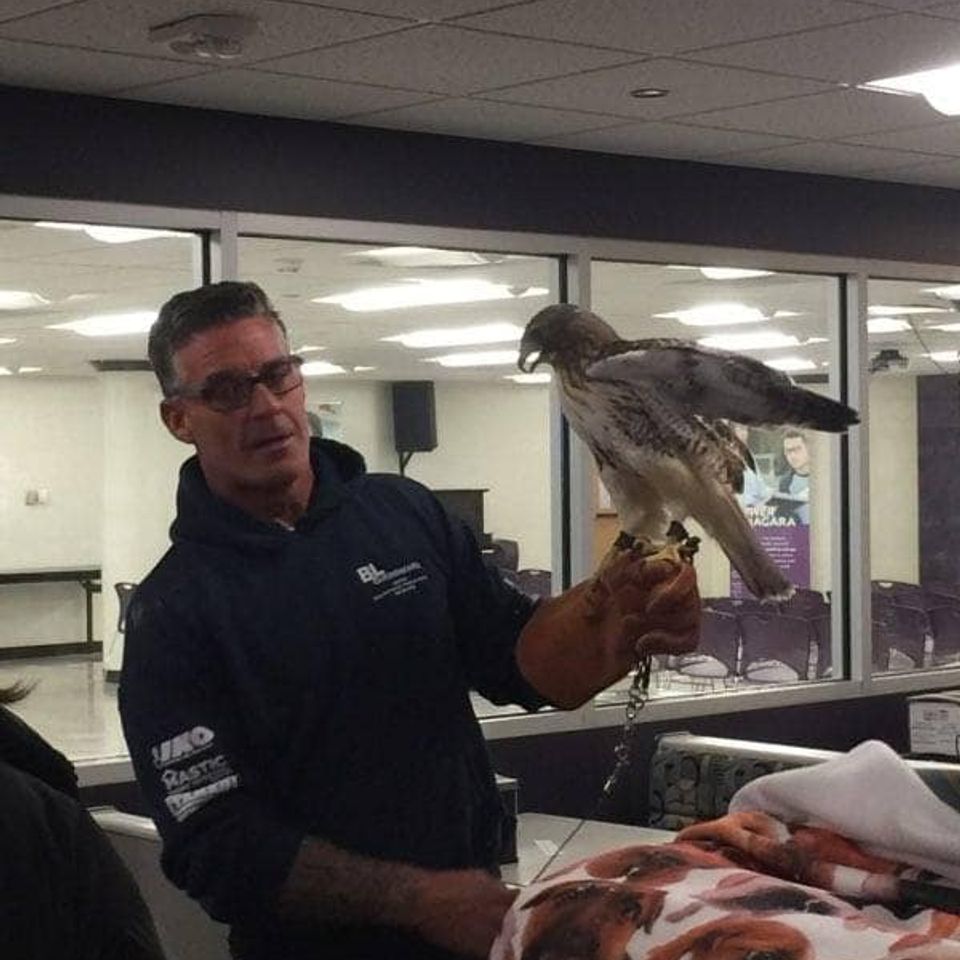 500063260 9383523855086100 8810618408157230431 n