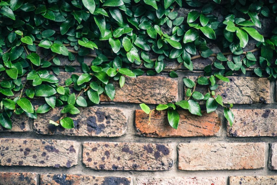 Retaining walls