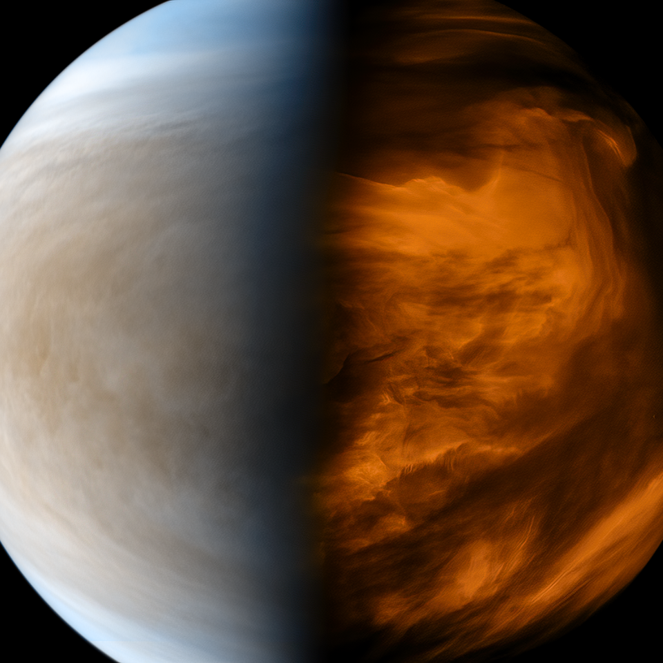 Venus   august 24 2016